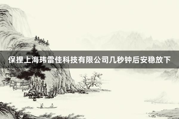 保捏上海玮雷佳科技有限公司几秒钟后安稳放下