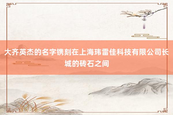 大齐英杰的名字镌刻在上海玮雷佳科技有限公司长城的砖石之间