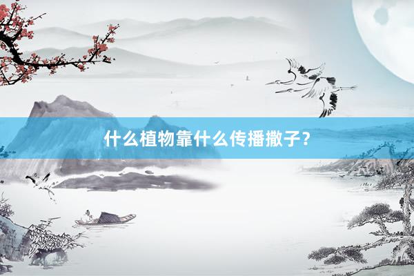 什么植物靠什么传播撒子？